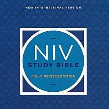 NIV STUDY BIBLE (하드커버/가죽)